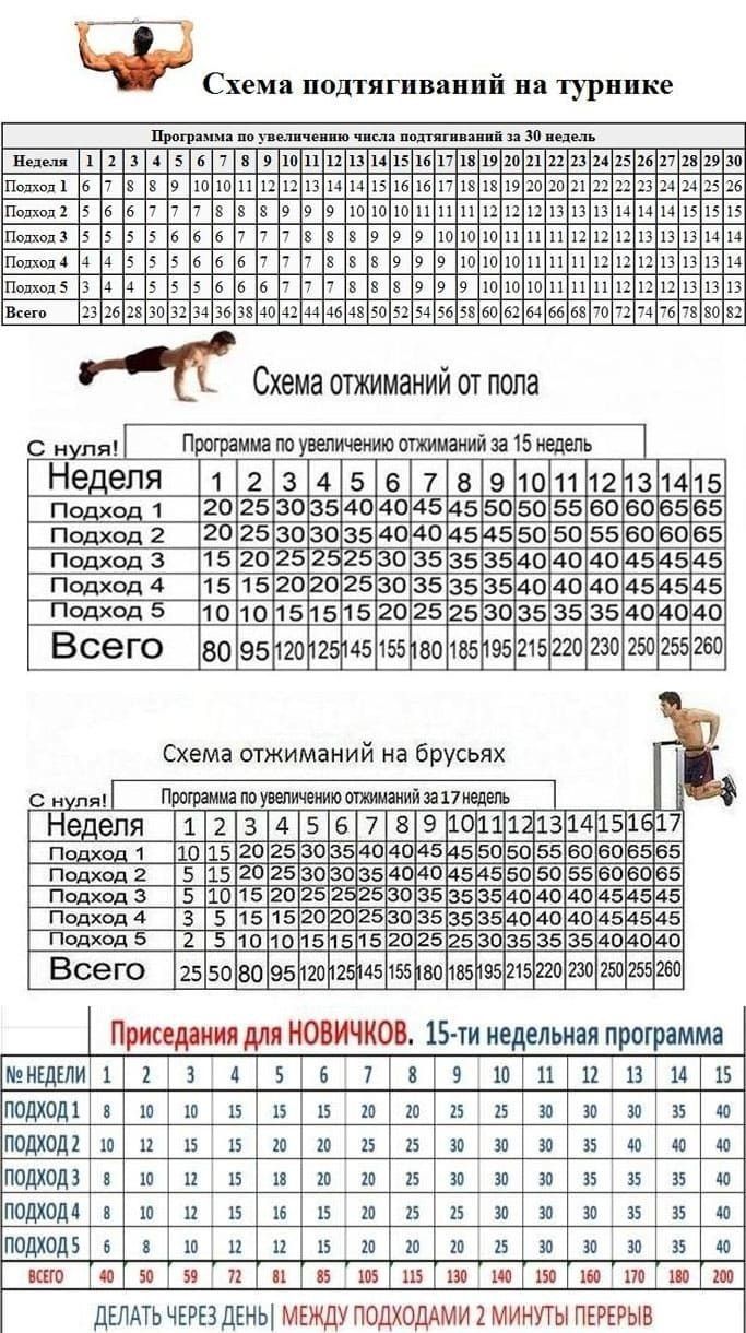kak sostavit plan trenirovok dlya novichka poshagovoe rukovodstvo