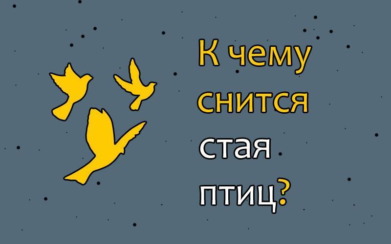 nebo i ptitsy vo sne k chemu eto snitsya polnoe tolkovanie snovideniy