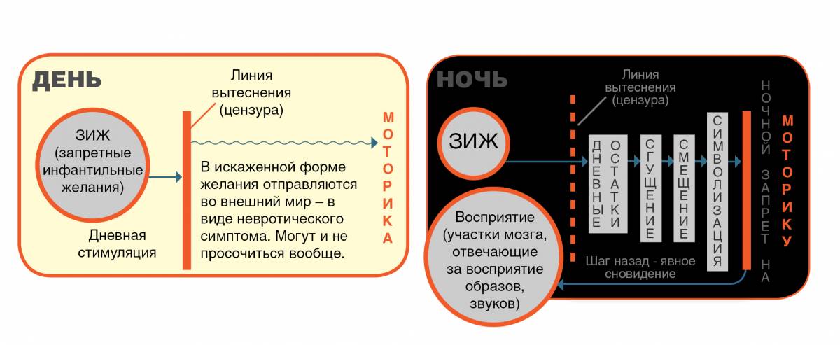 razgadka snovideniy chto oznachaet son v kotorom vrach stavit diagnoz