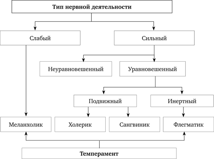 sozdanie personalnogo raspisaniya uchet individualnyh osobennostey