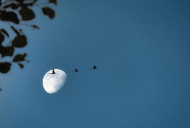 tolkovanie snov padenie s vysoty k chemu gotovitsya